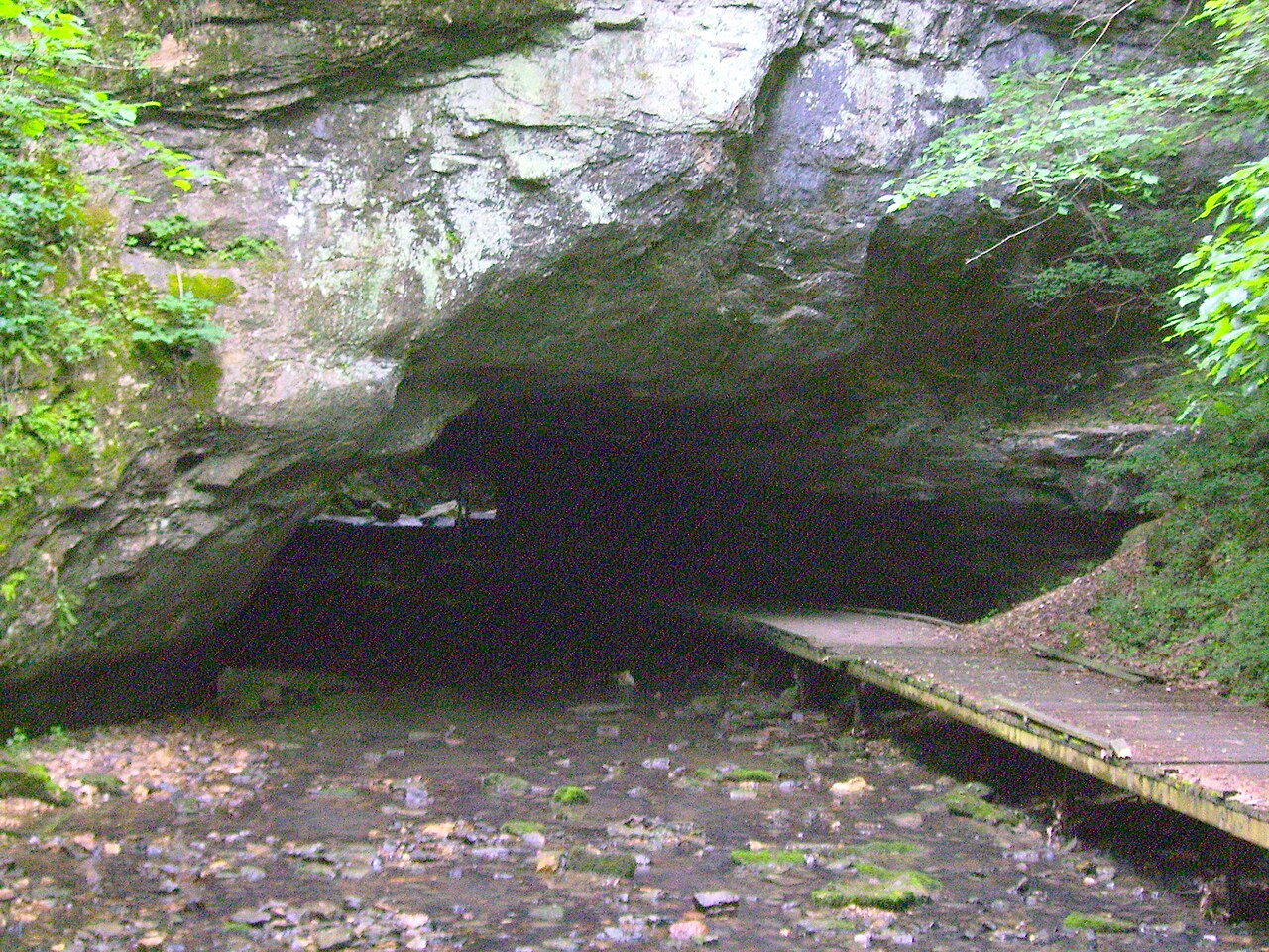 Wikimedia Commons