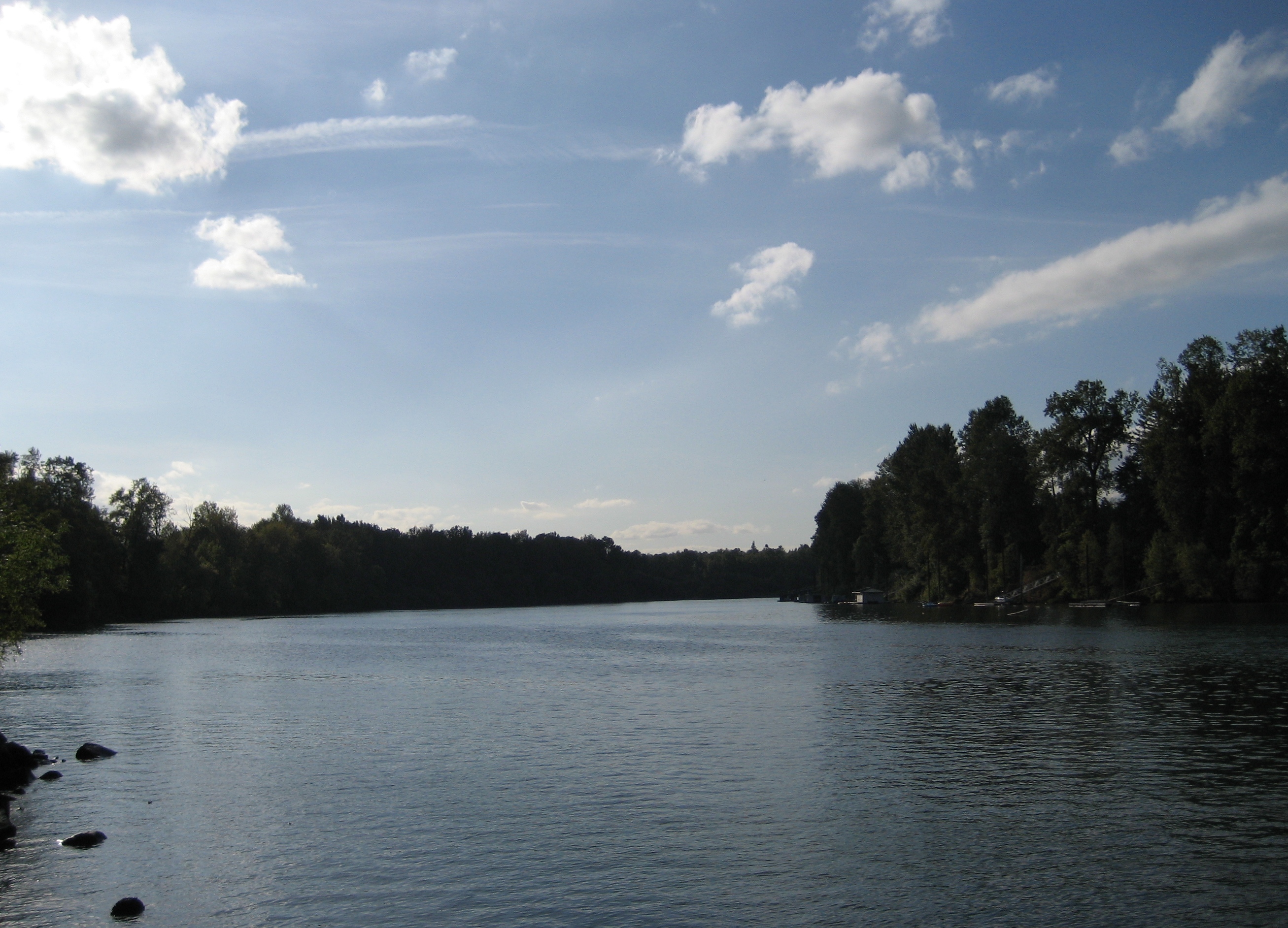 Wikimedia Commons
