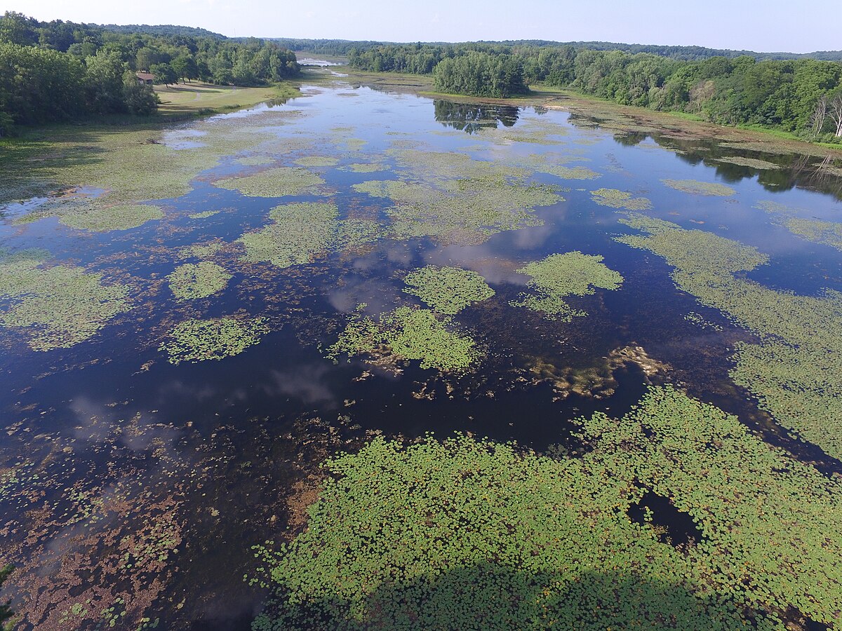 Brighton Appleton Lake Rustic Campground