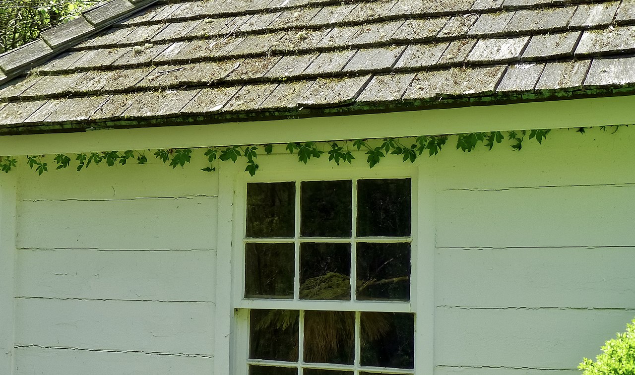 Smallwood State Park