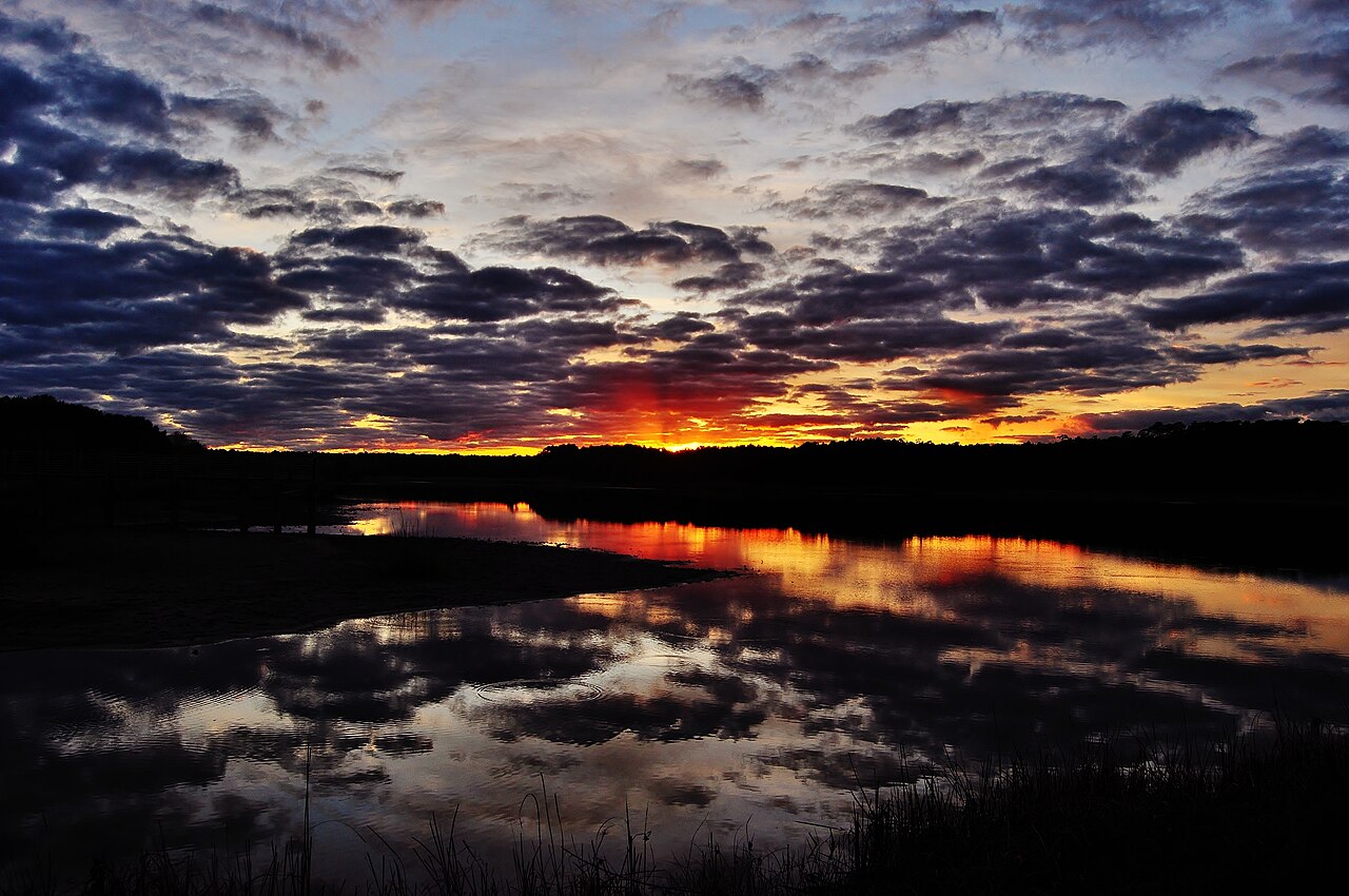 Huntington Beach State Park