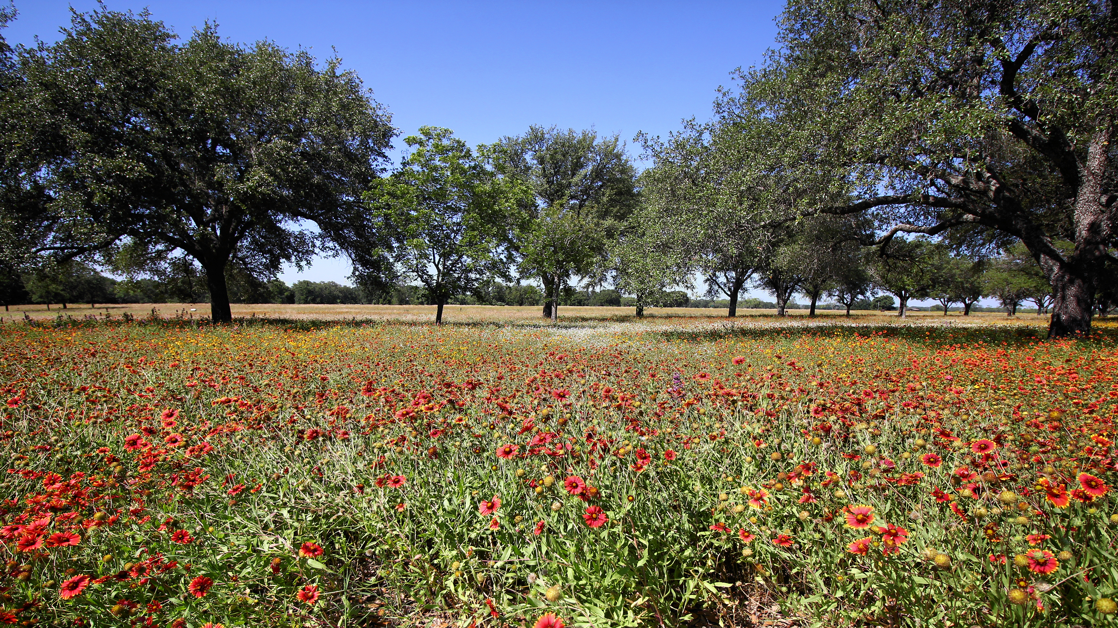 Lyndon B. Johnson State Park And Historic Site