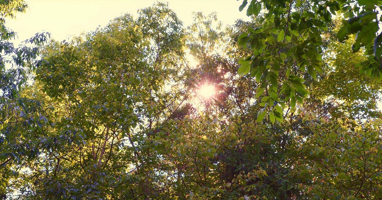 John Bryan Group Campground