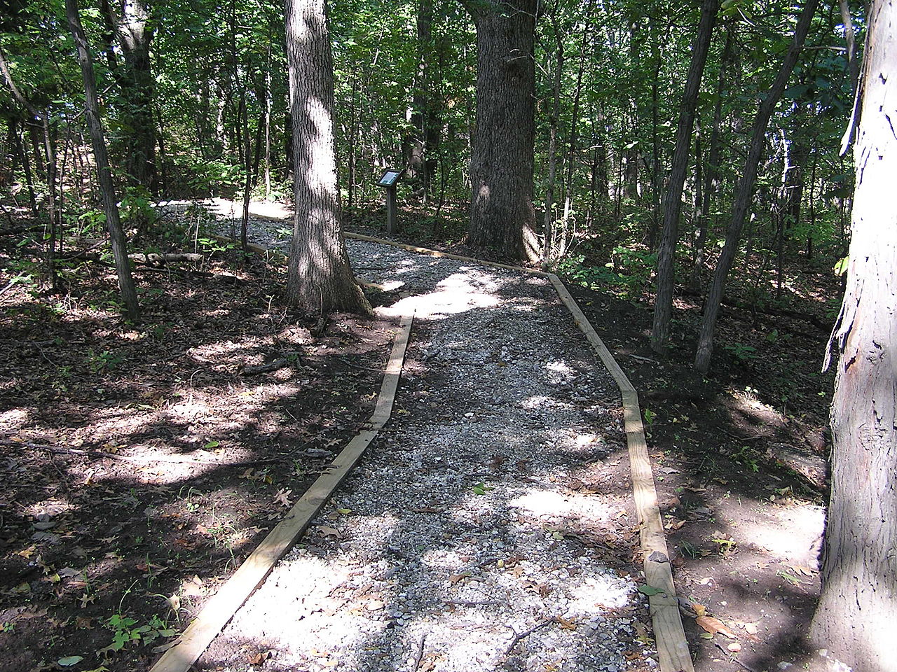 Campground (Sites 41-72)