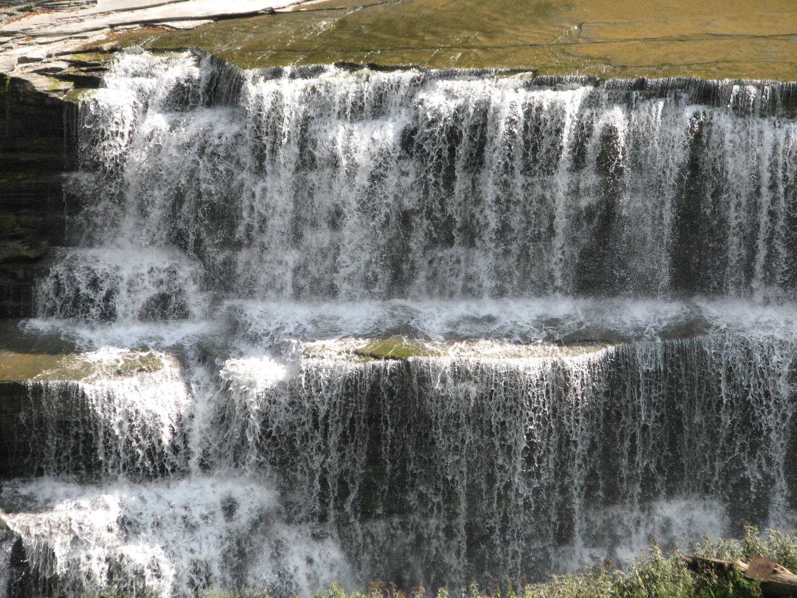 Wikimedia Commons