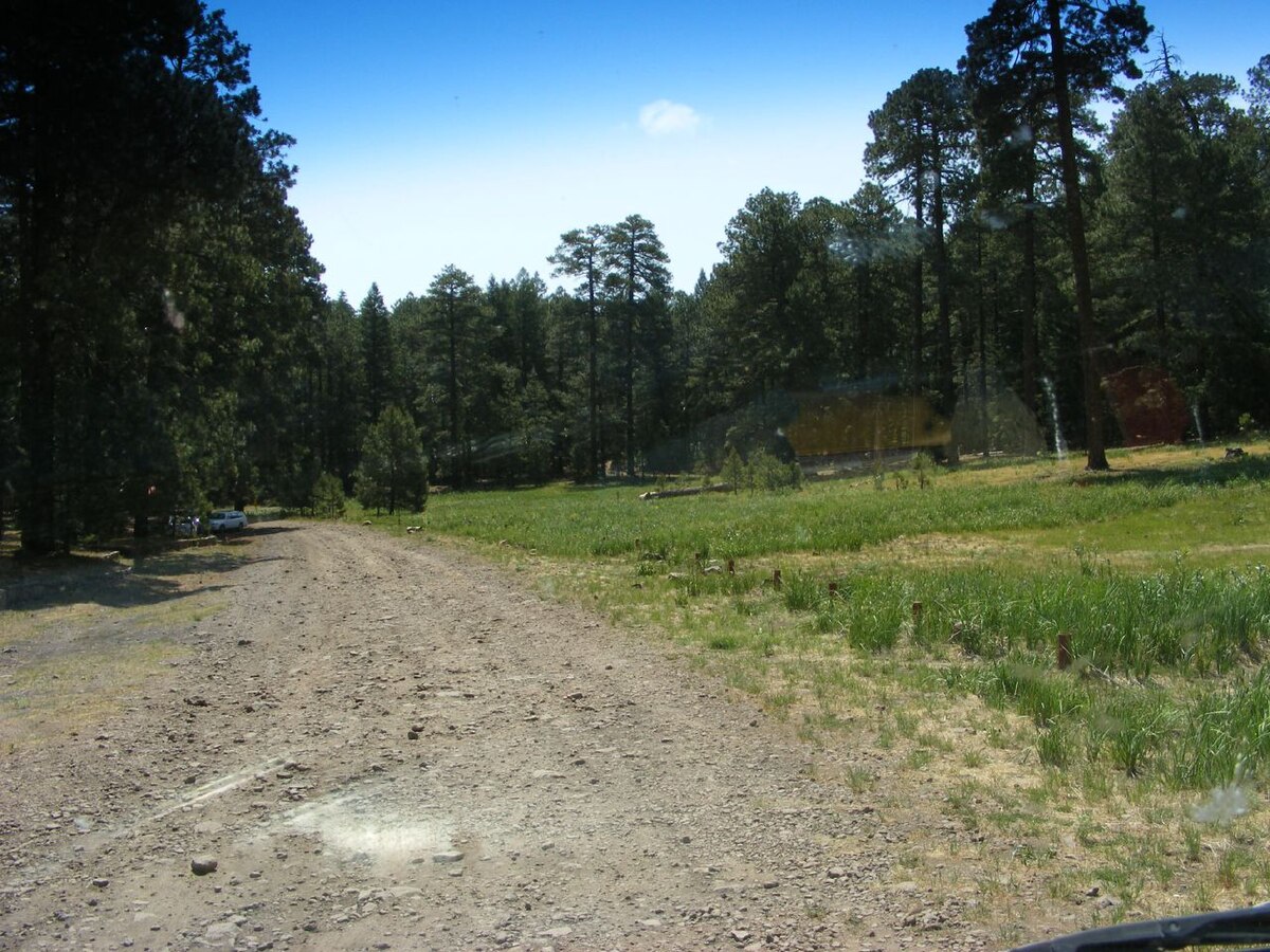 Rustler Park Campground