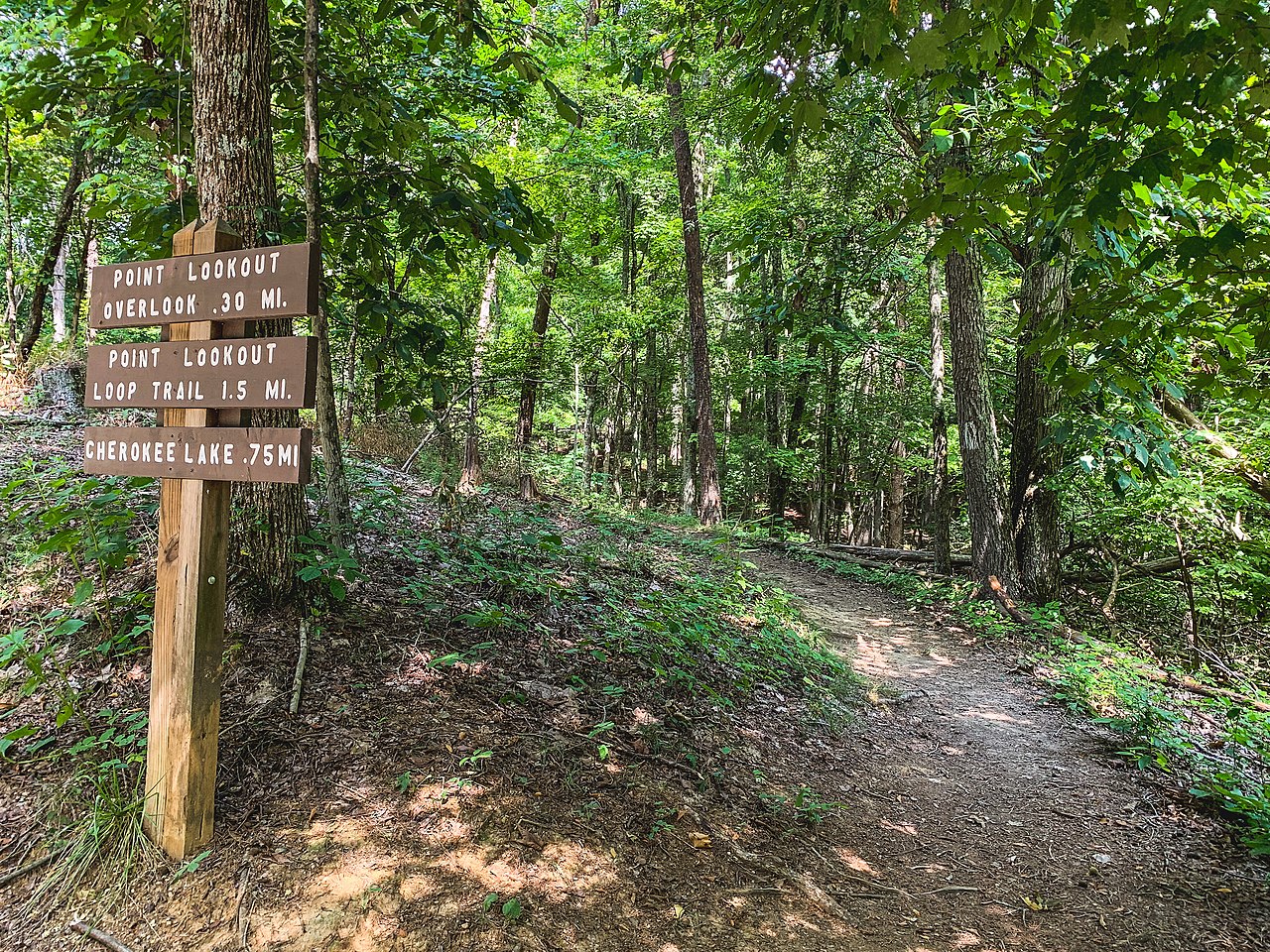 Panther Creek State Park