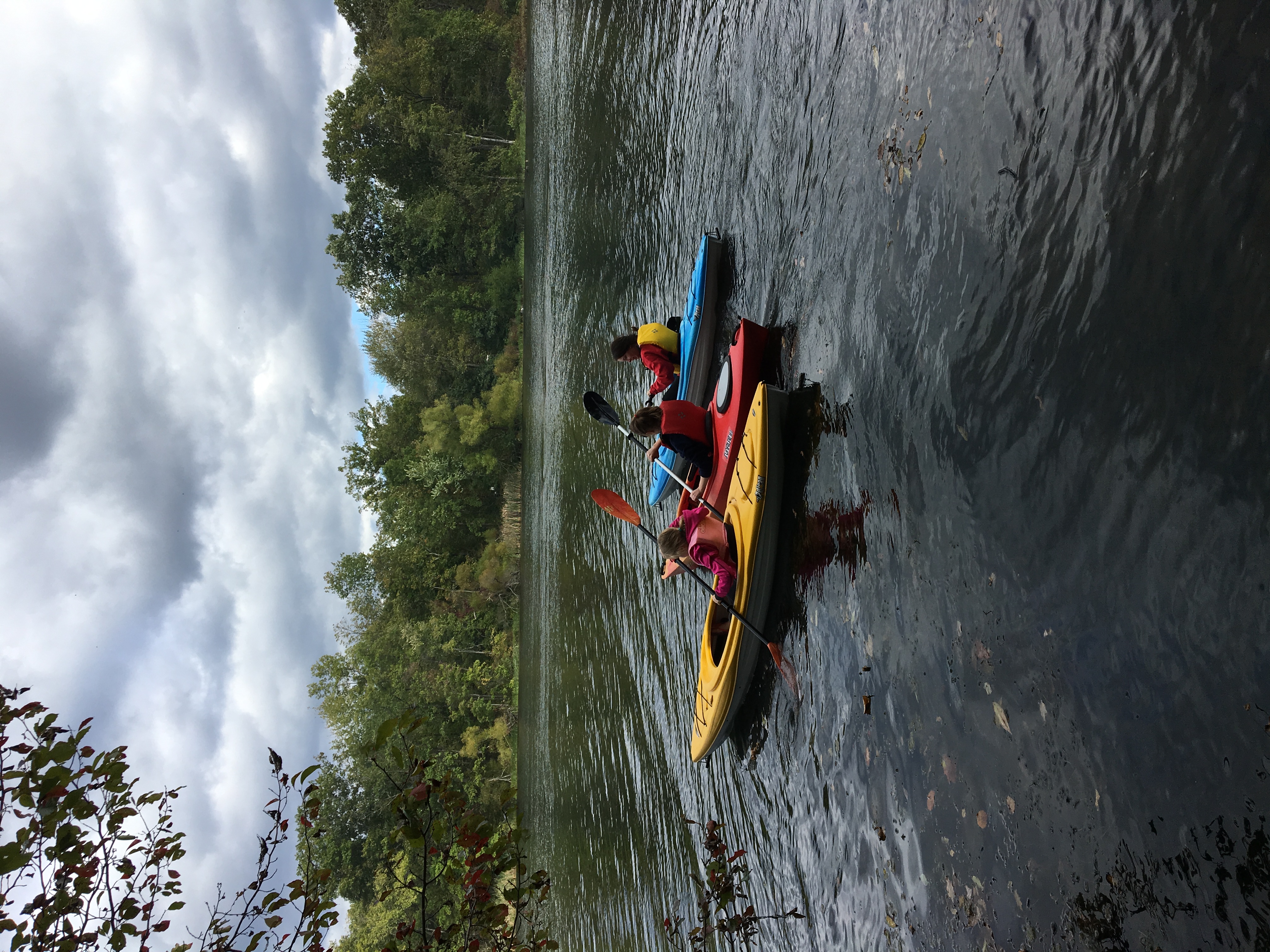 Gifford Pinchot State Park