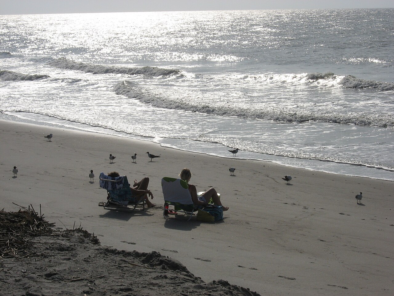 Edisto Beach State Park