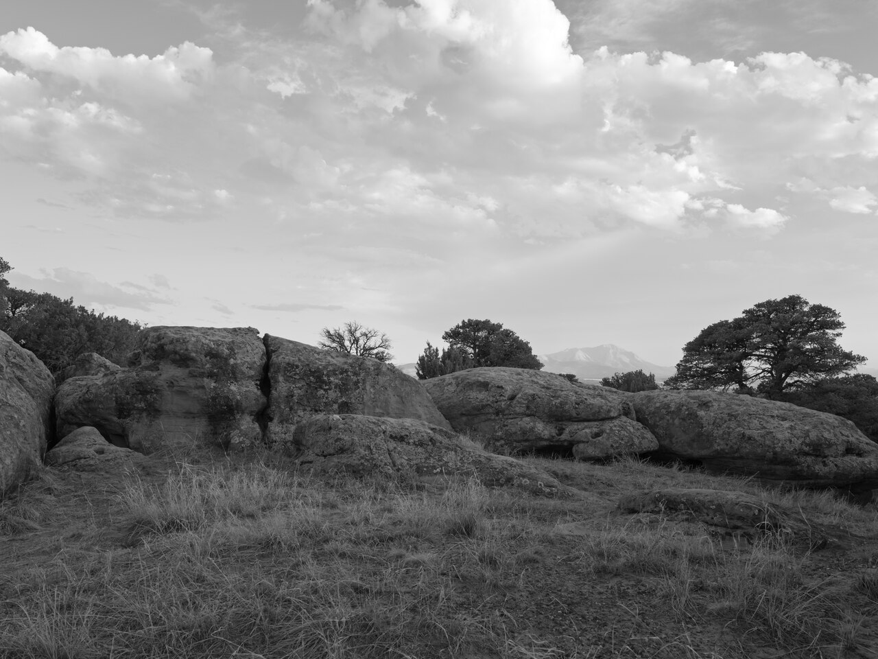 Lathrop Campground