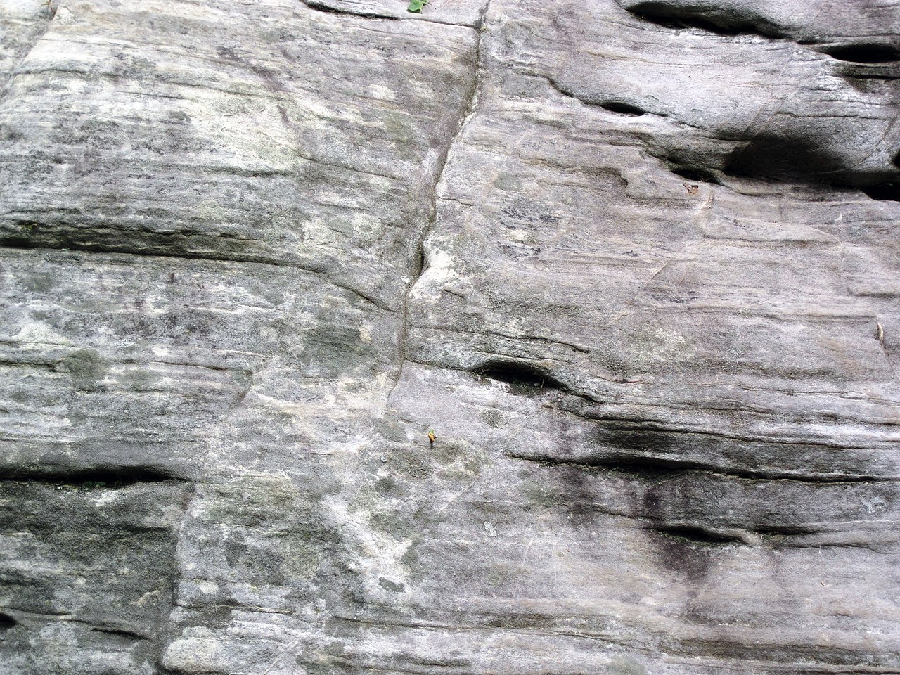 Wikimedia Commons