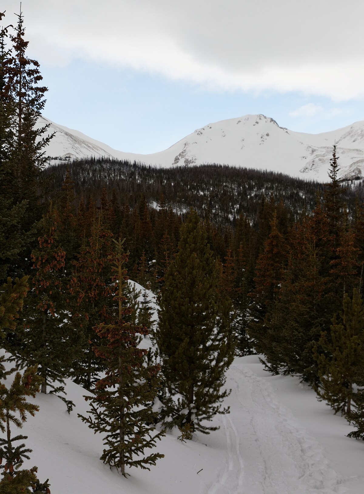Sawmill Creek Campground