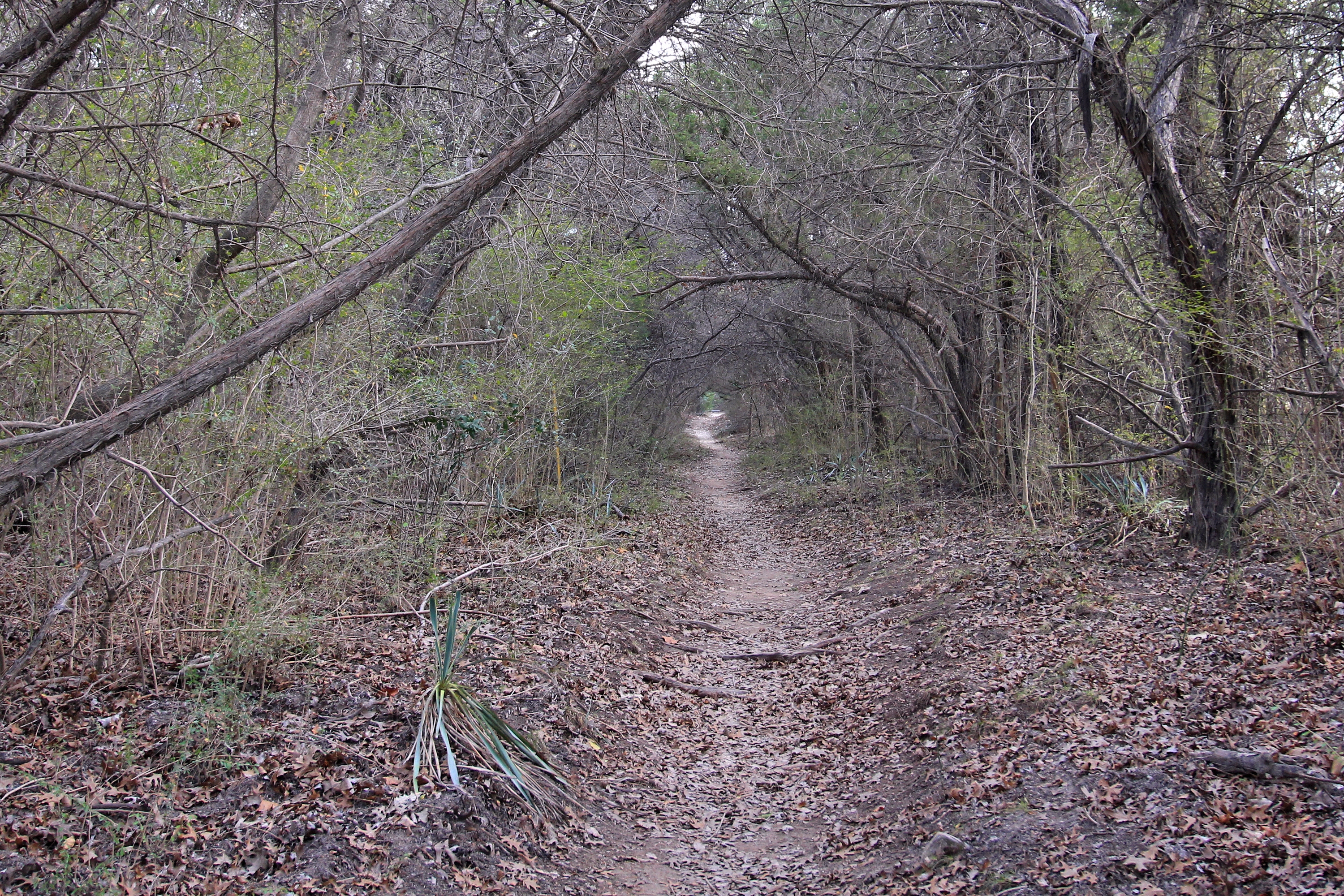 Cleburne State Park