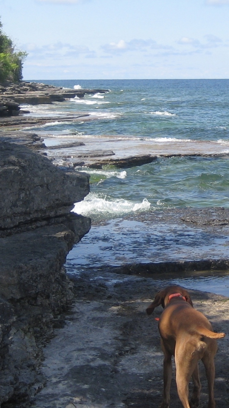 Robert G Wehle State Park