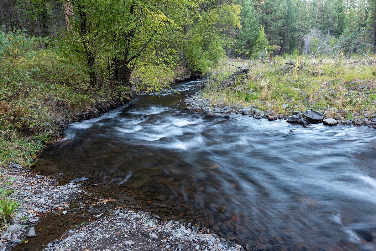 South Fork Campground