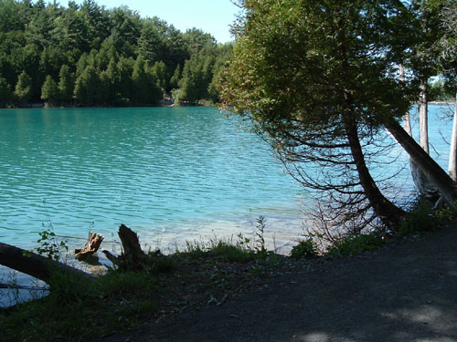 Wikimedia Commons