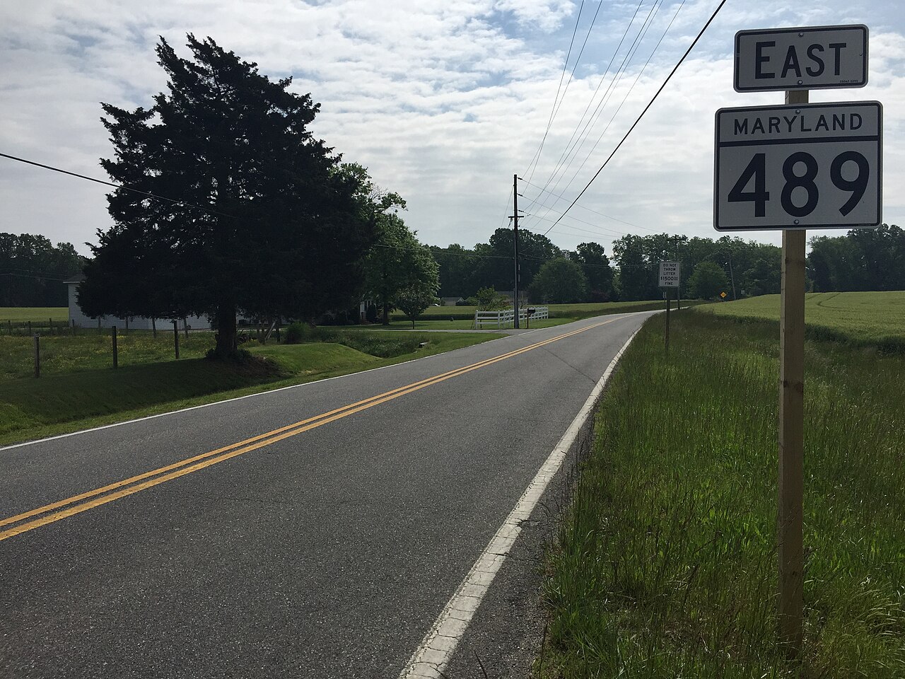 Point Lookout State Park