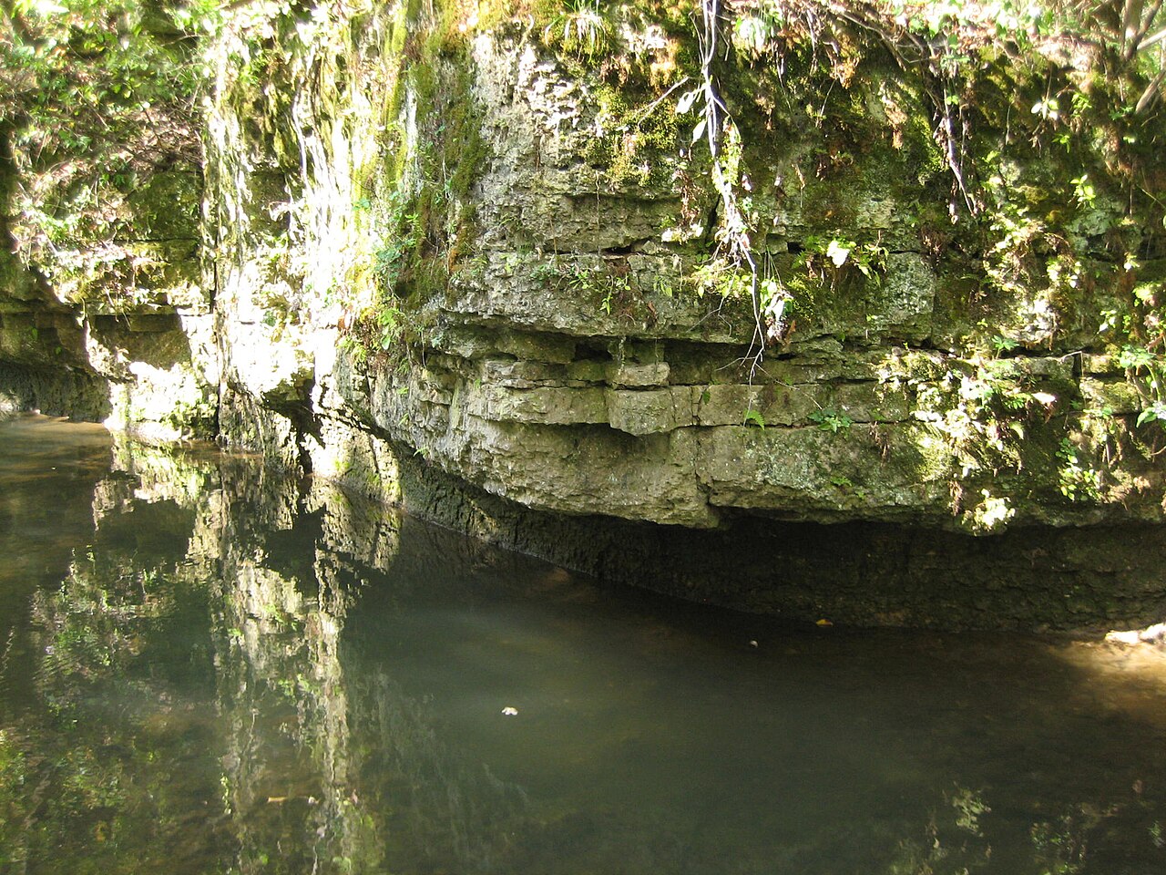 Wikimedia Commons