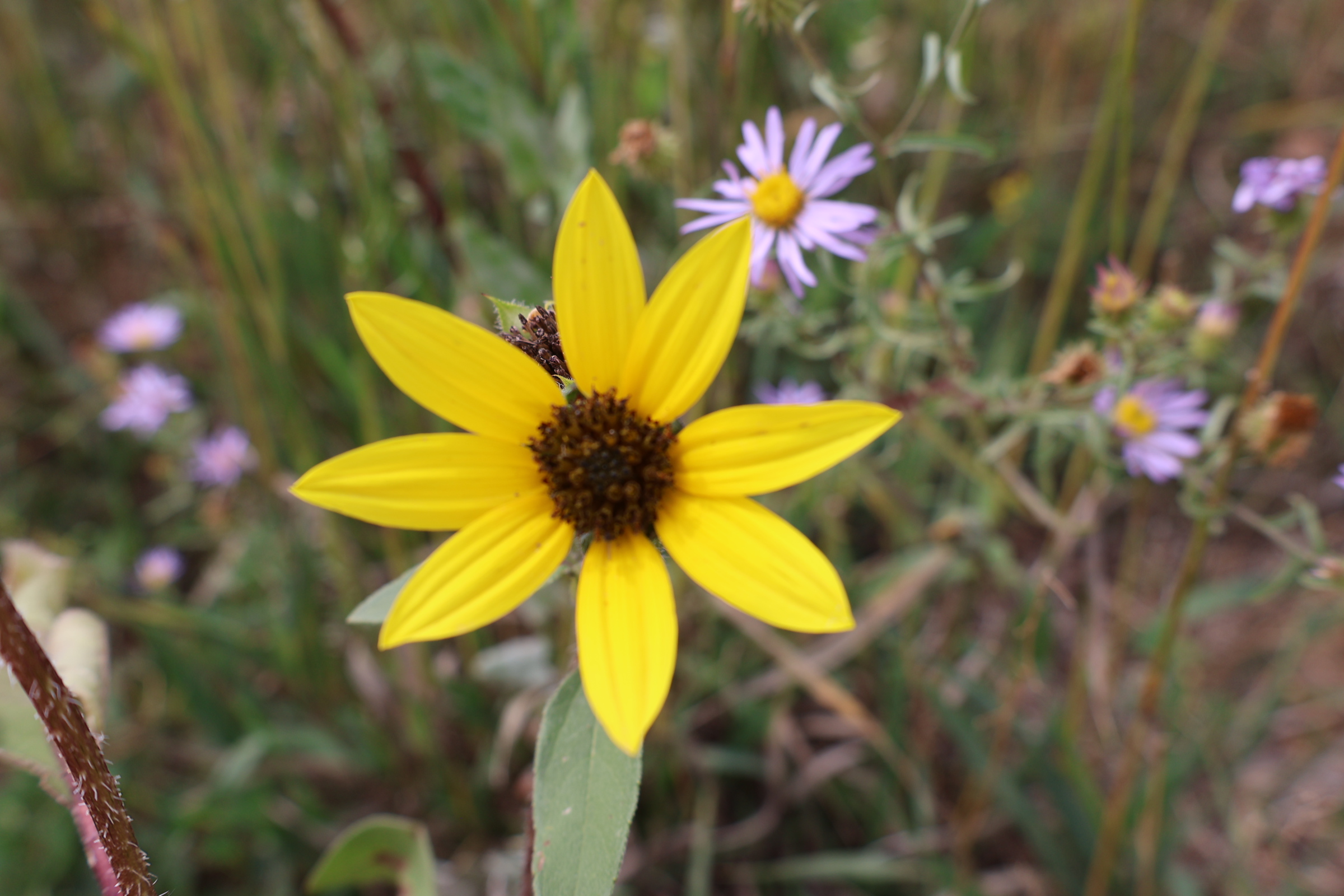 Cheyenne Mountain State Park