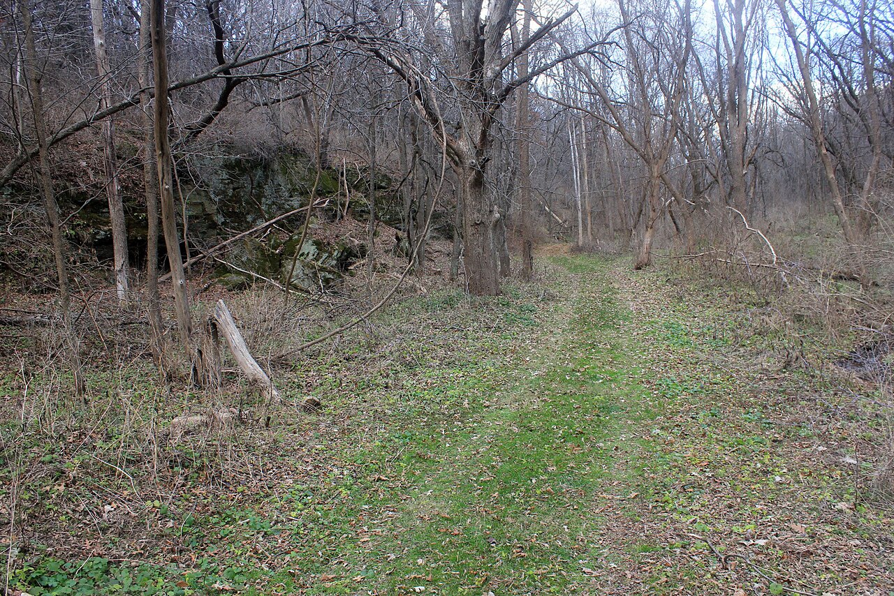 Wikimedia Commons