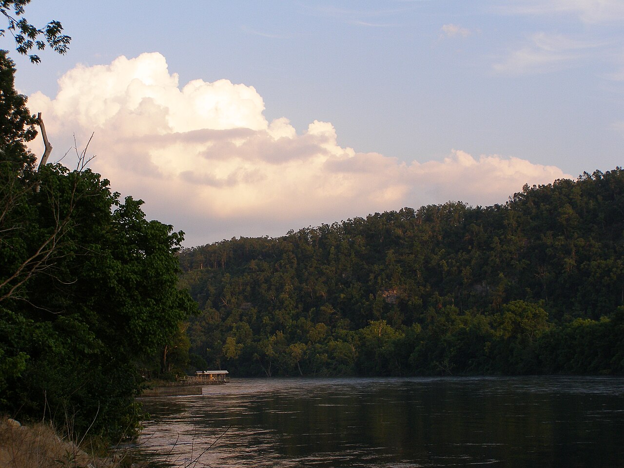 Wikimedia Commons