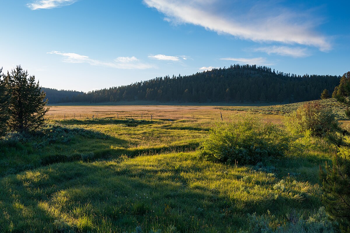 Mud Creek Campground