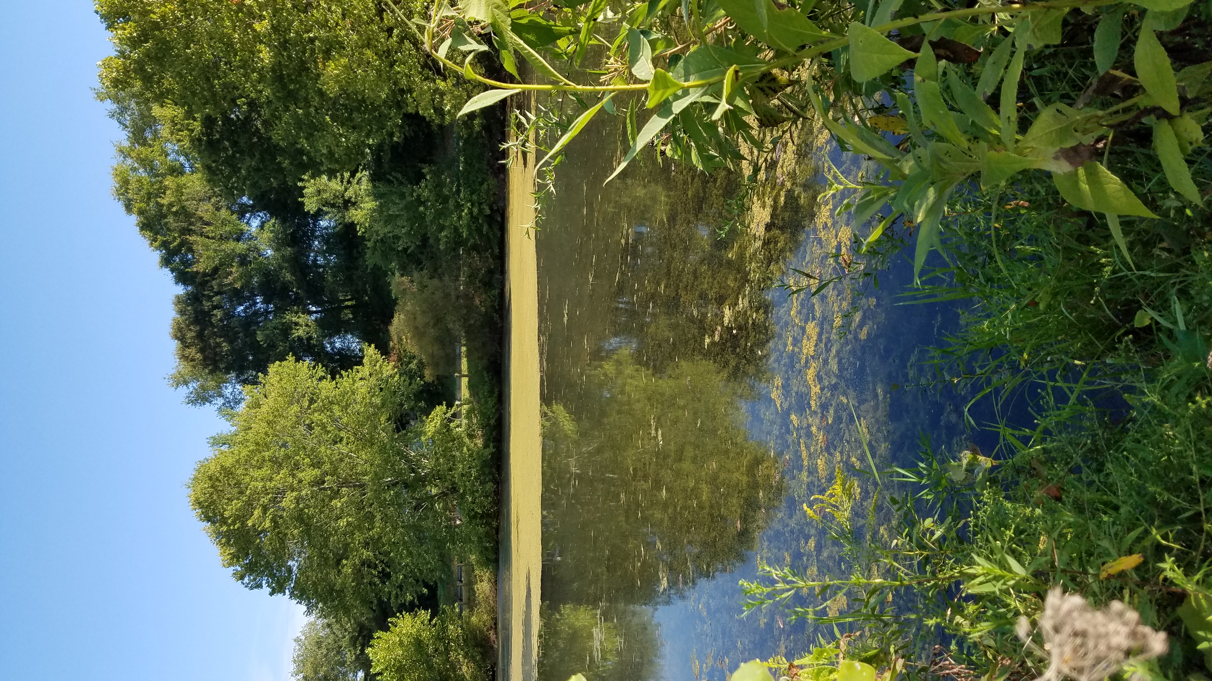 Logan State Park