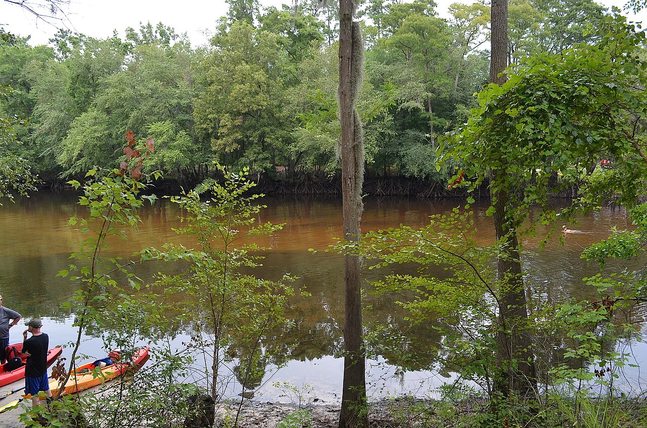 Colleton State Park