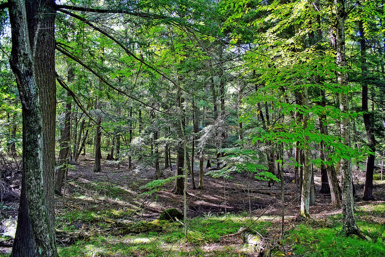 Brunet Island State Park