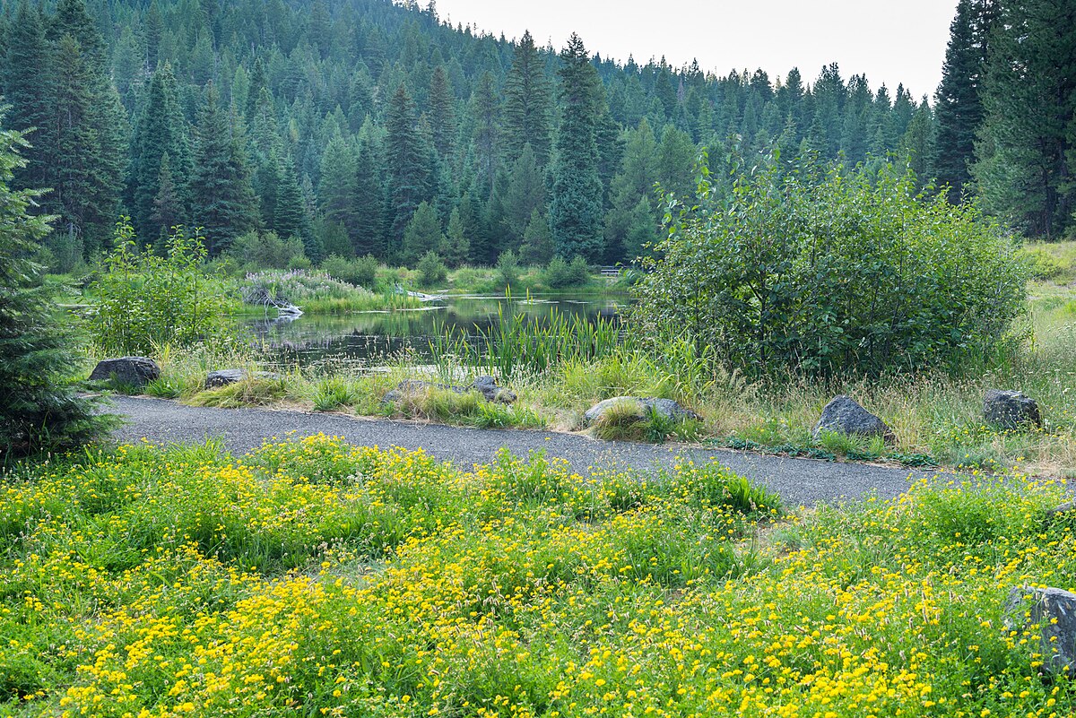 Trout Farm Campground