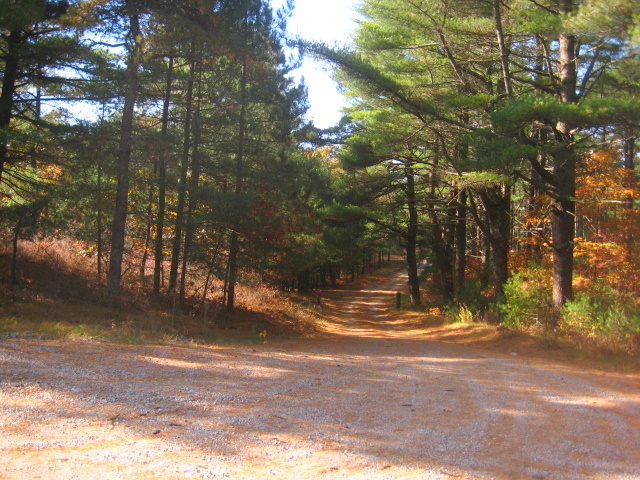 Myles Standish State Forest