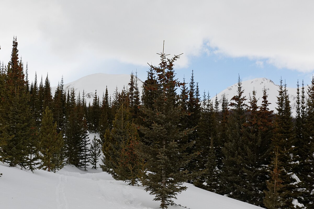Sawmill Creek Campground