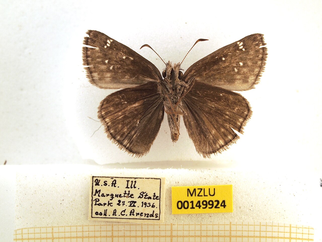 Wikimedia Commons
