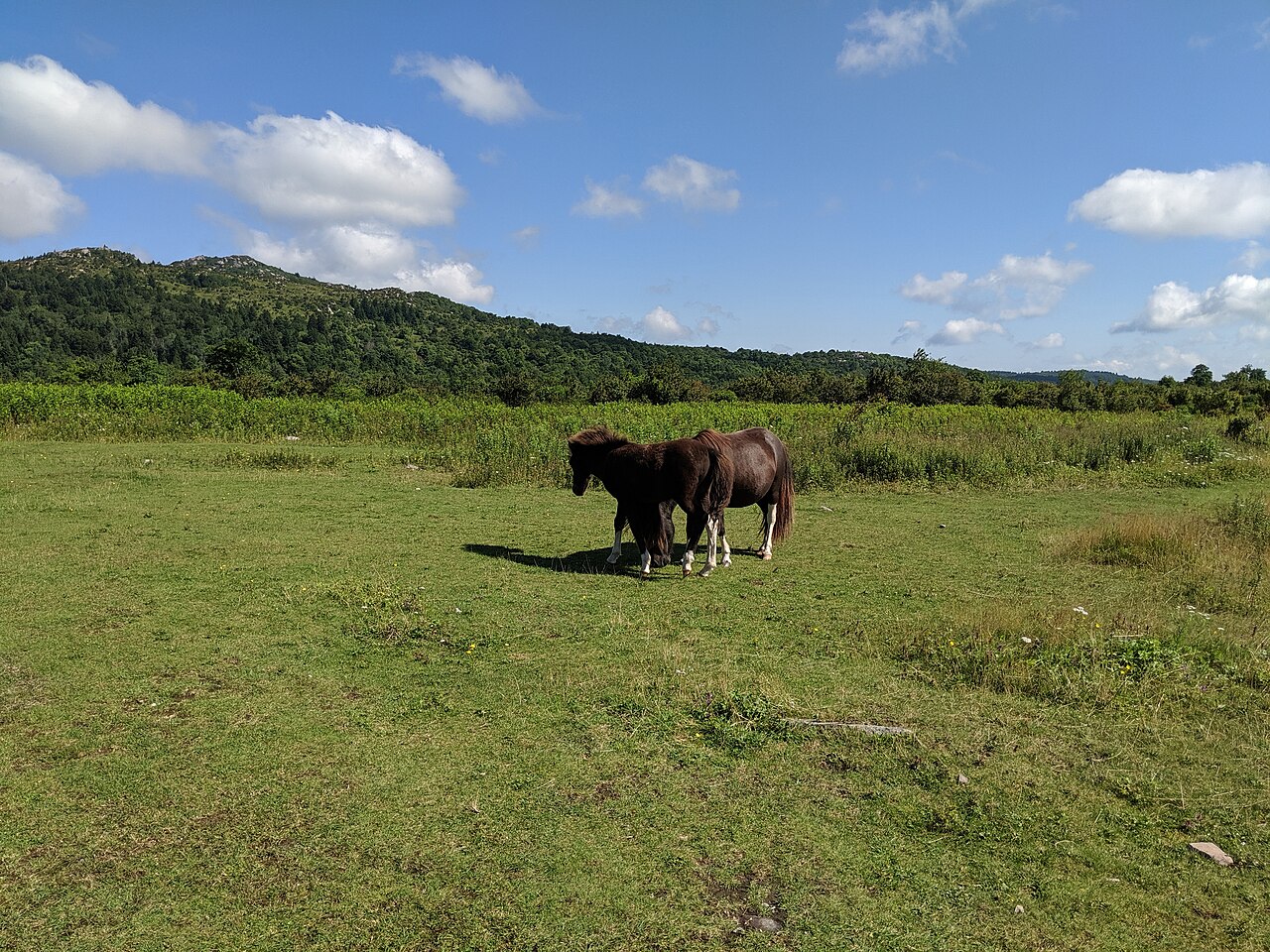 Backpack Parking Campground