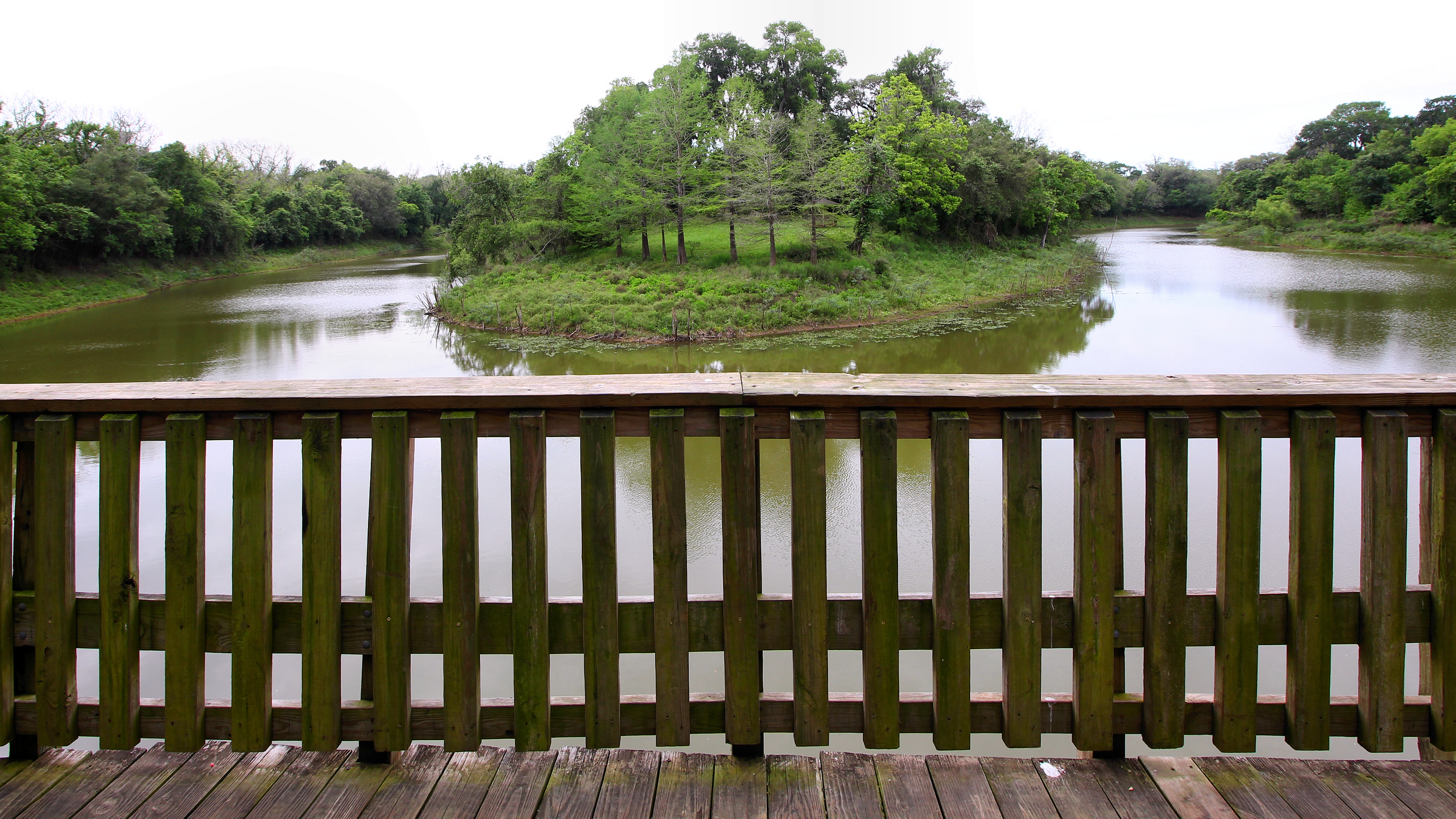 Brazos Bend State Park