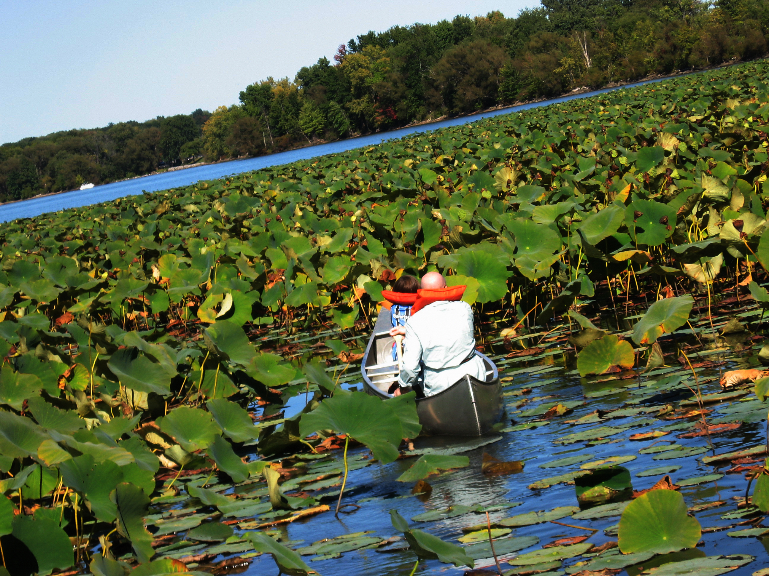Pymatuning State Park