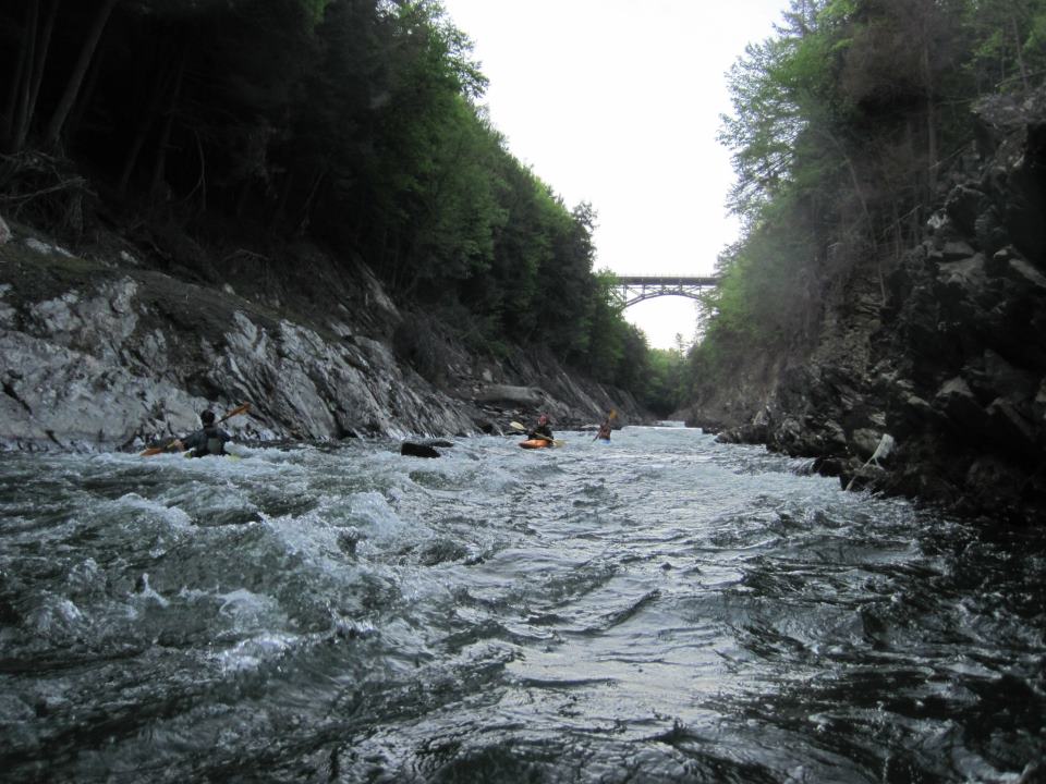 Wikimedia Commons