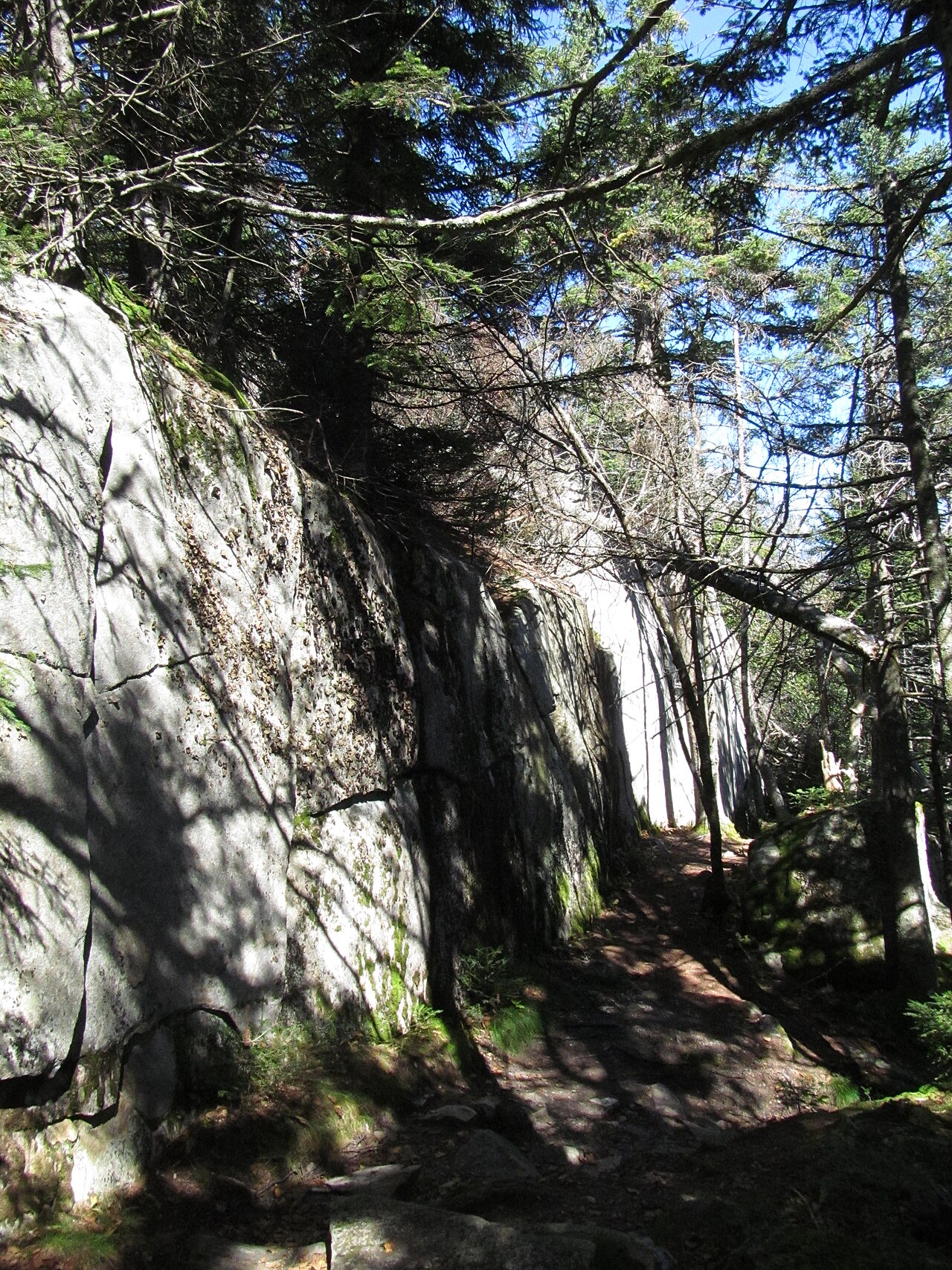 Wikimedia Commons
