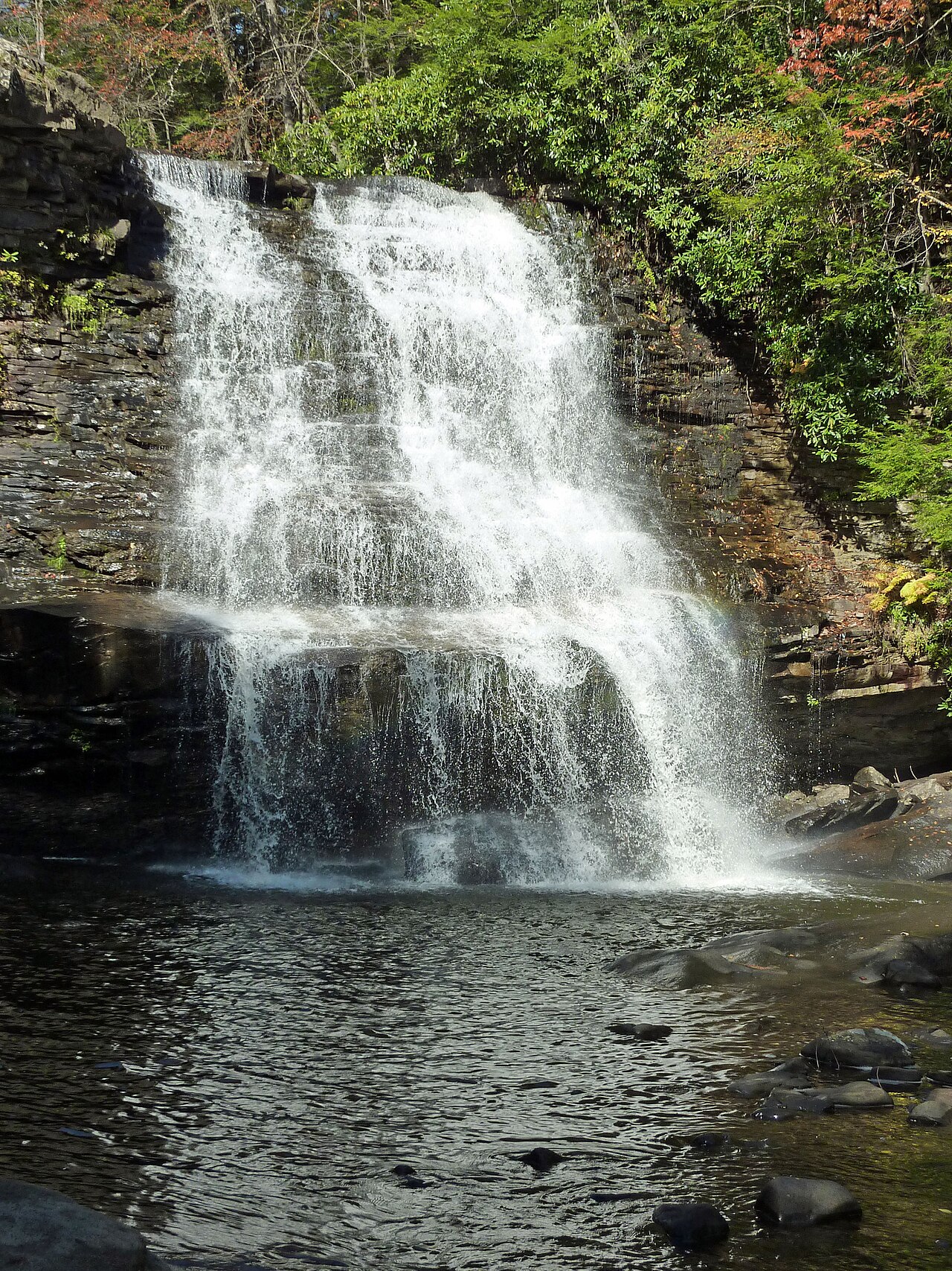 Swallow Falls State Park