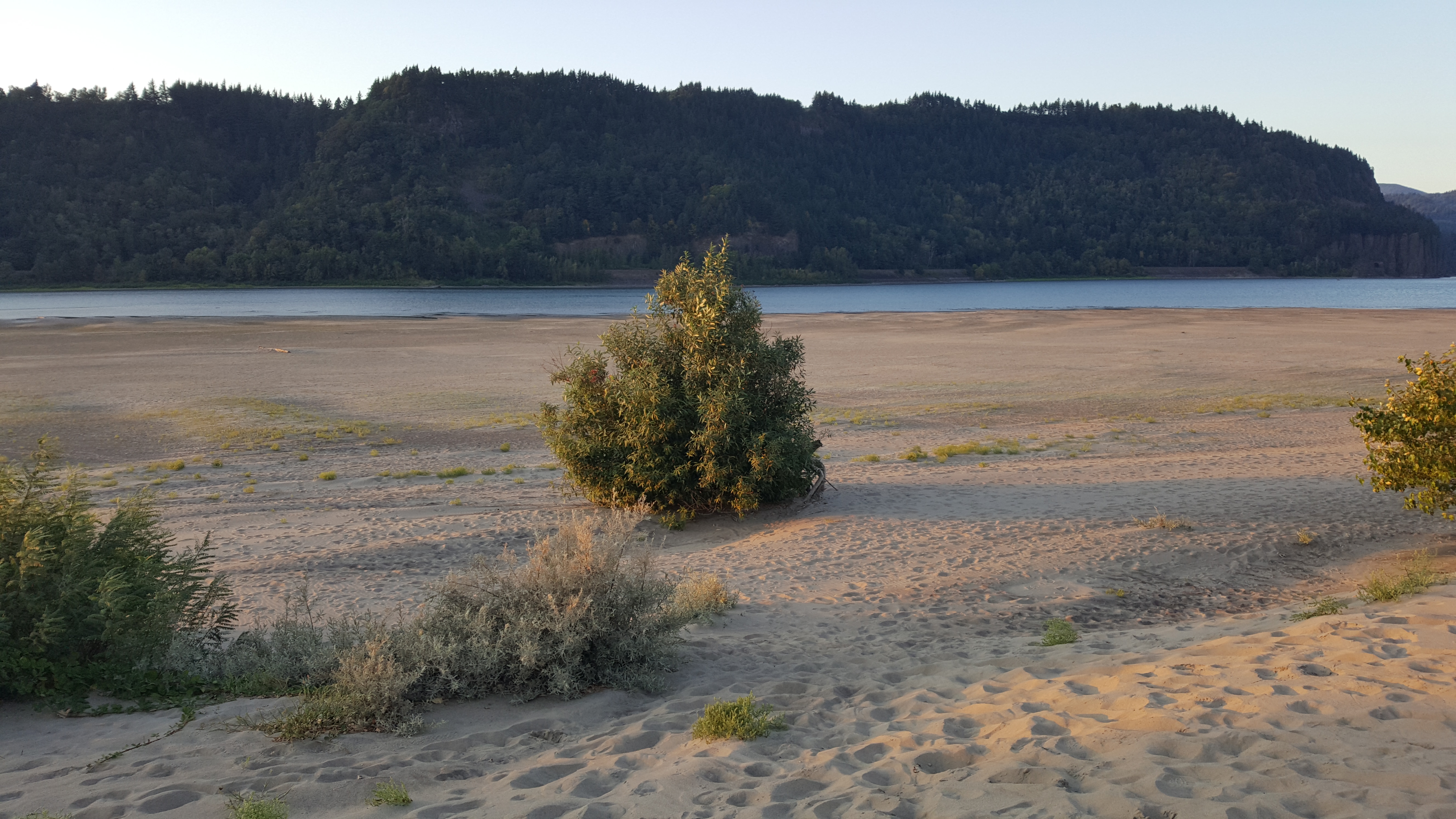 Rooster Rock State Park