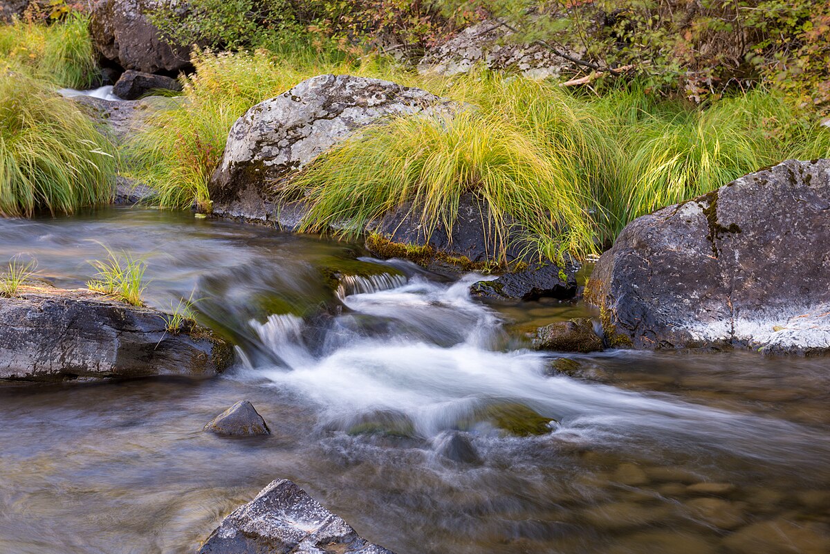 Deerhorn Campground