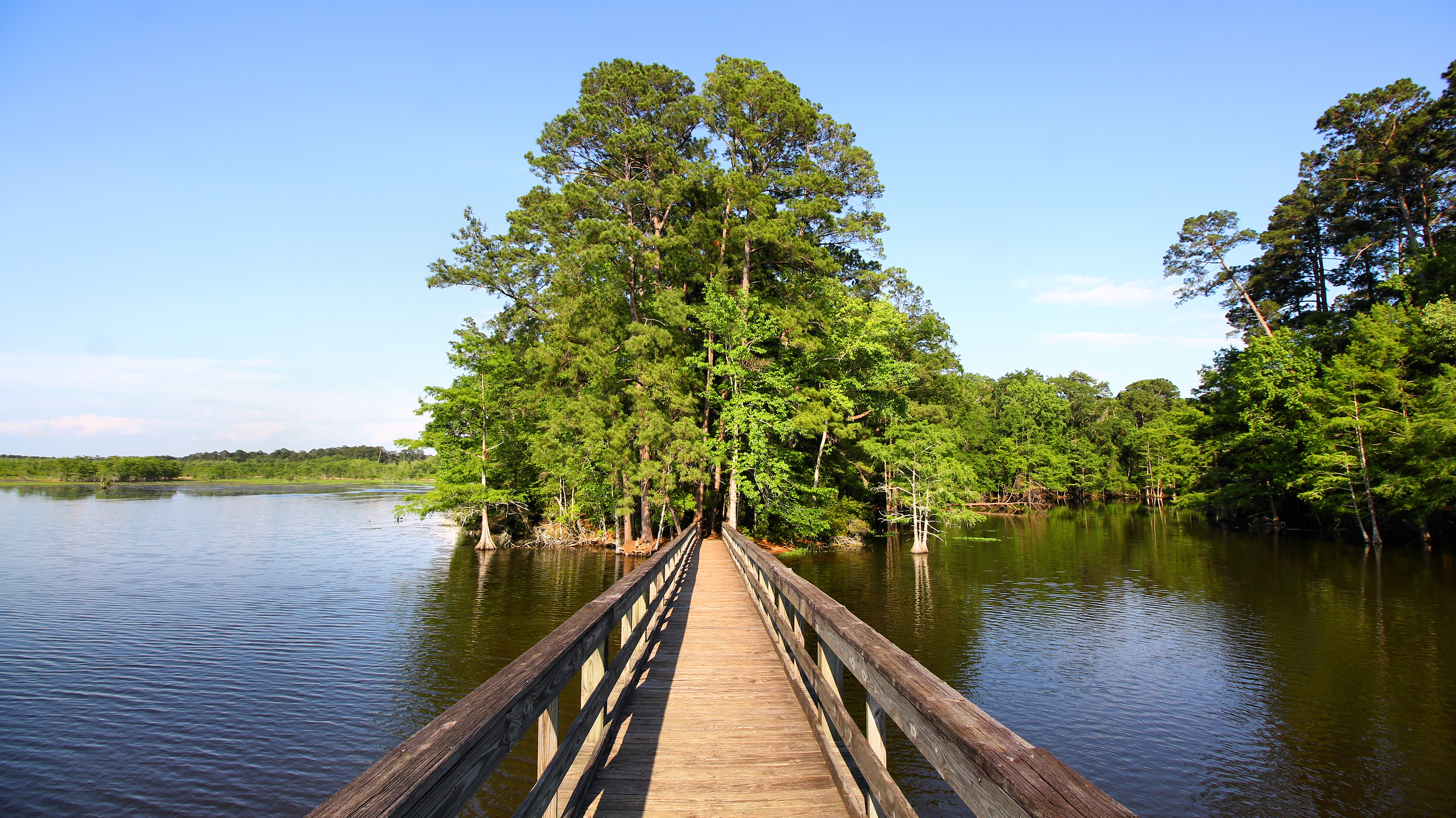 Martin Dies Jr. State Park