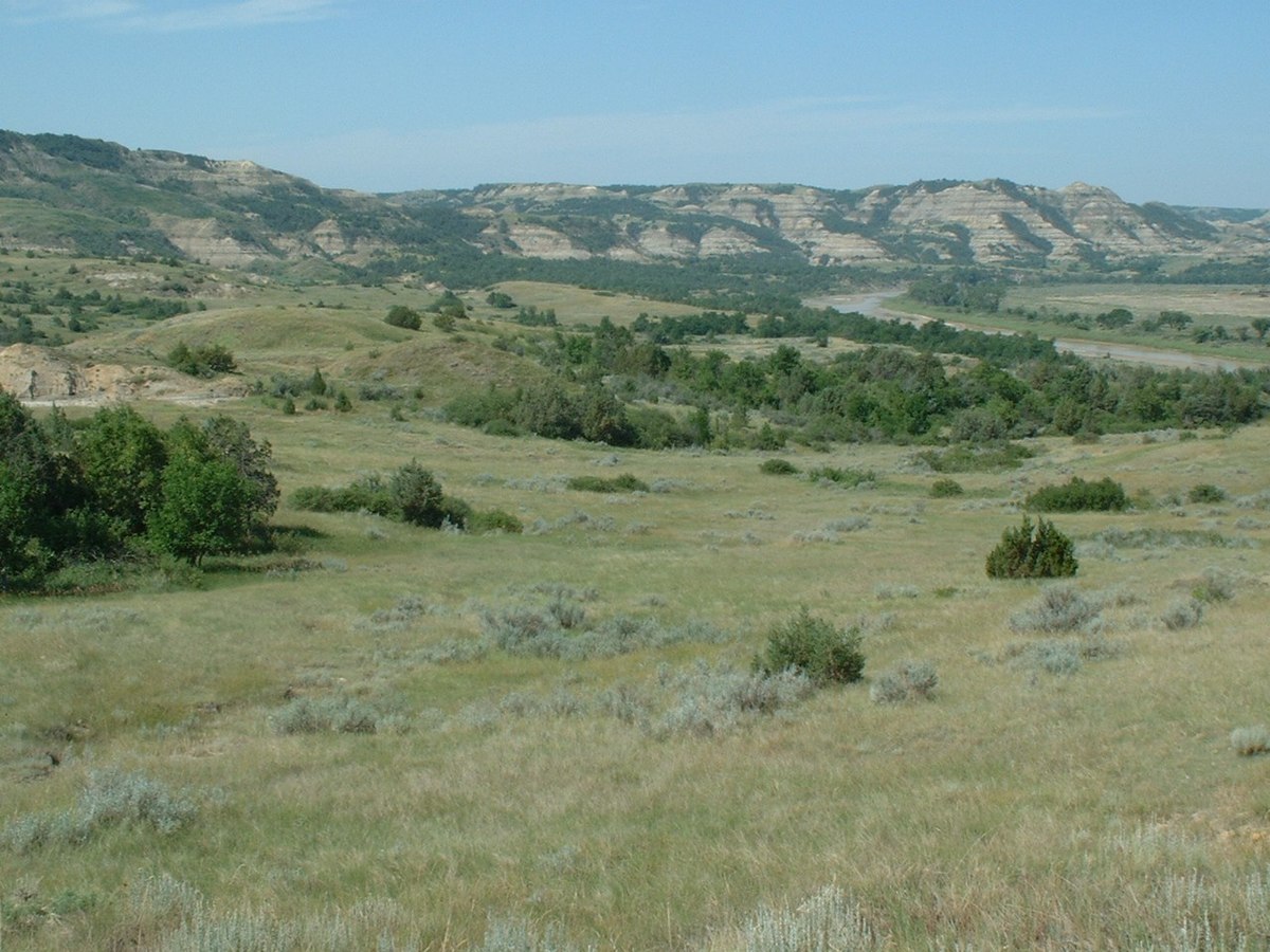 Wikimedia Commons