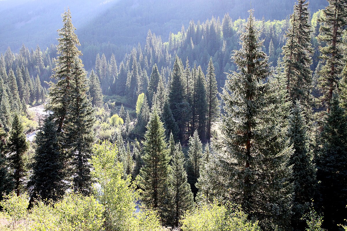 Stunner Campground