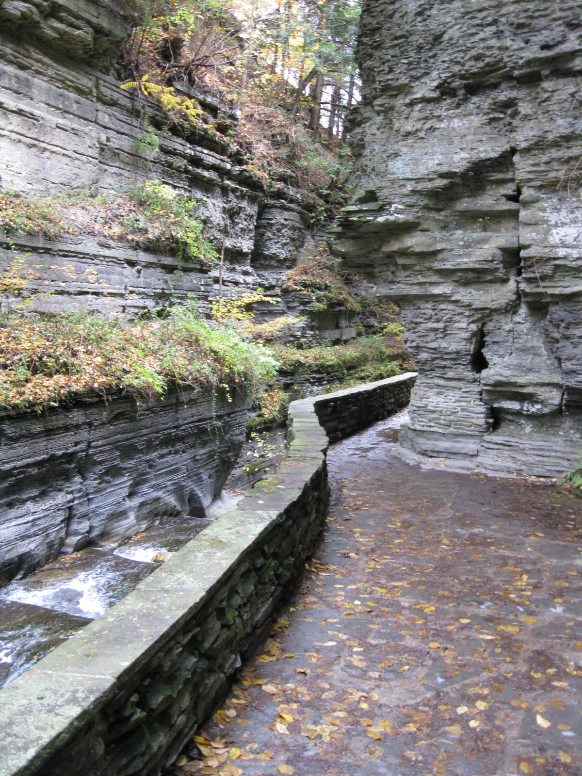 Robert H Treman State Park