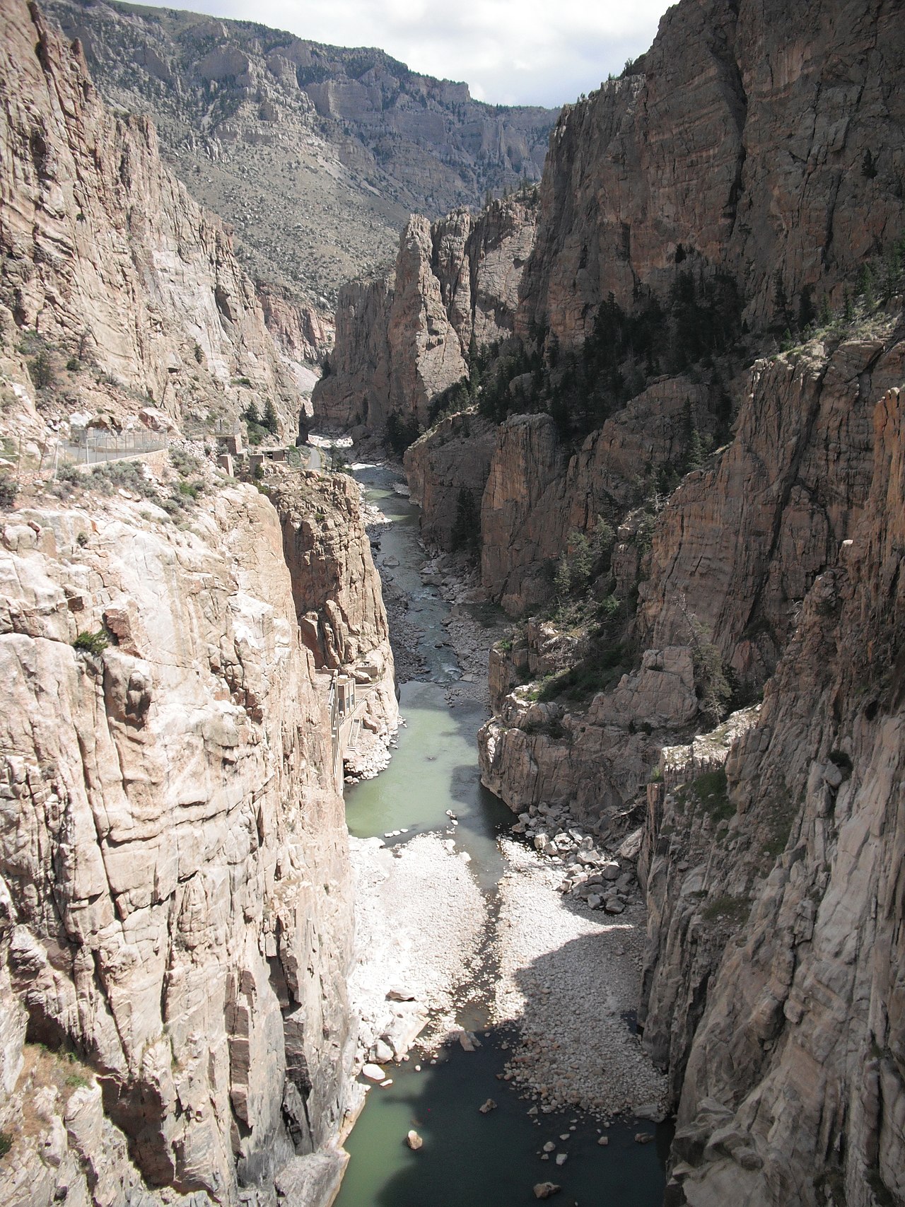 Wikimedia Commons