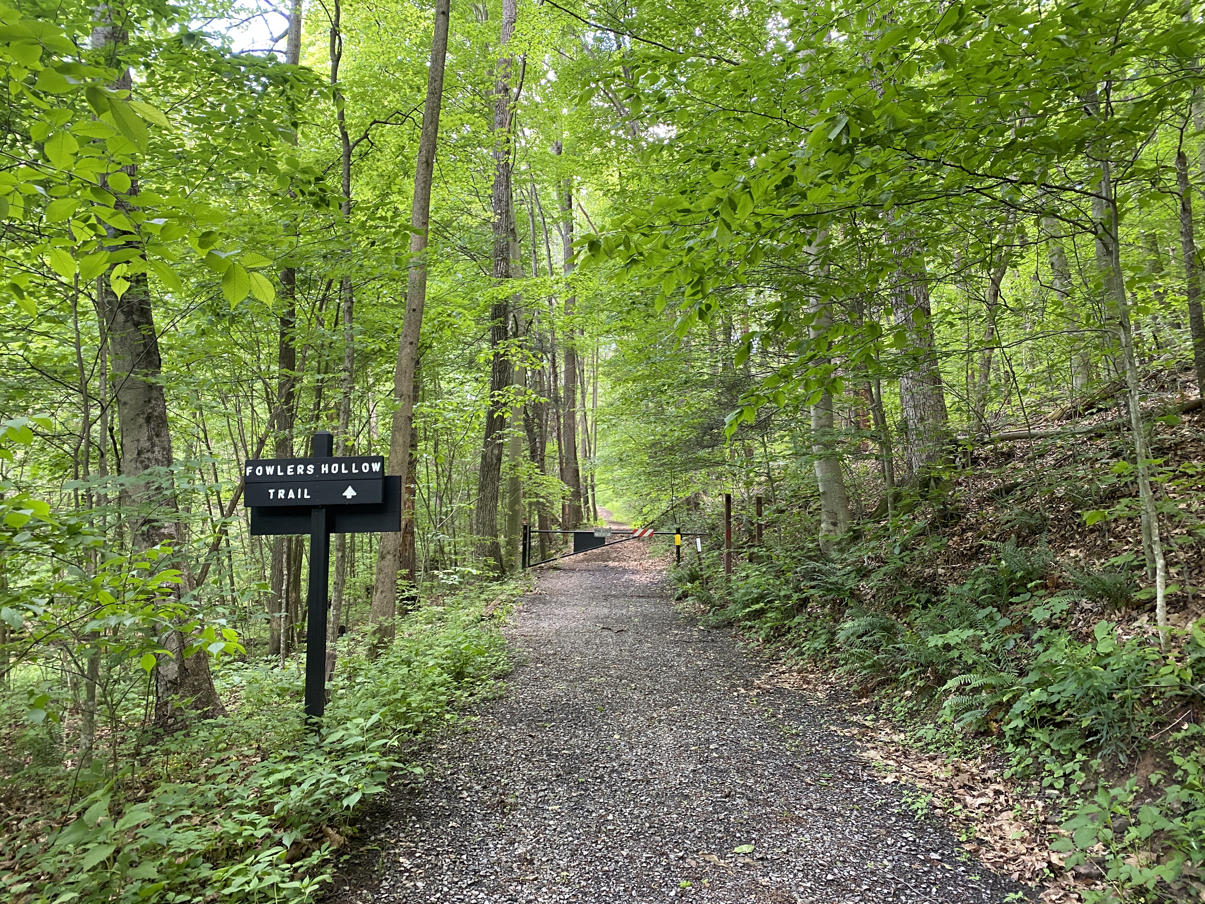 Fowlers Hollow State Park