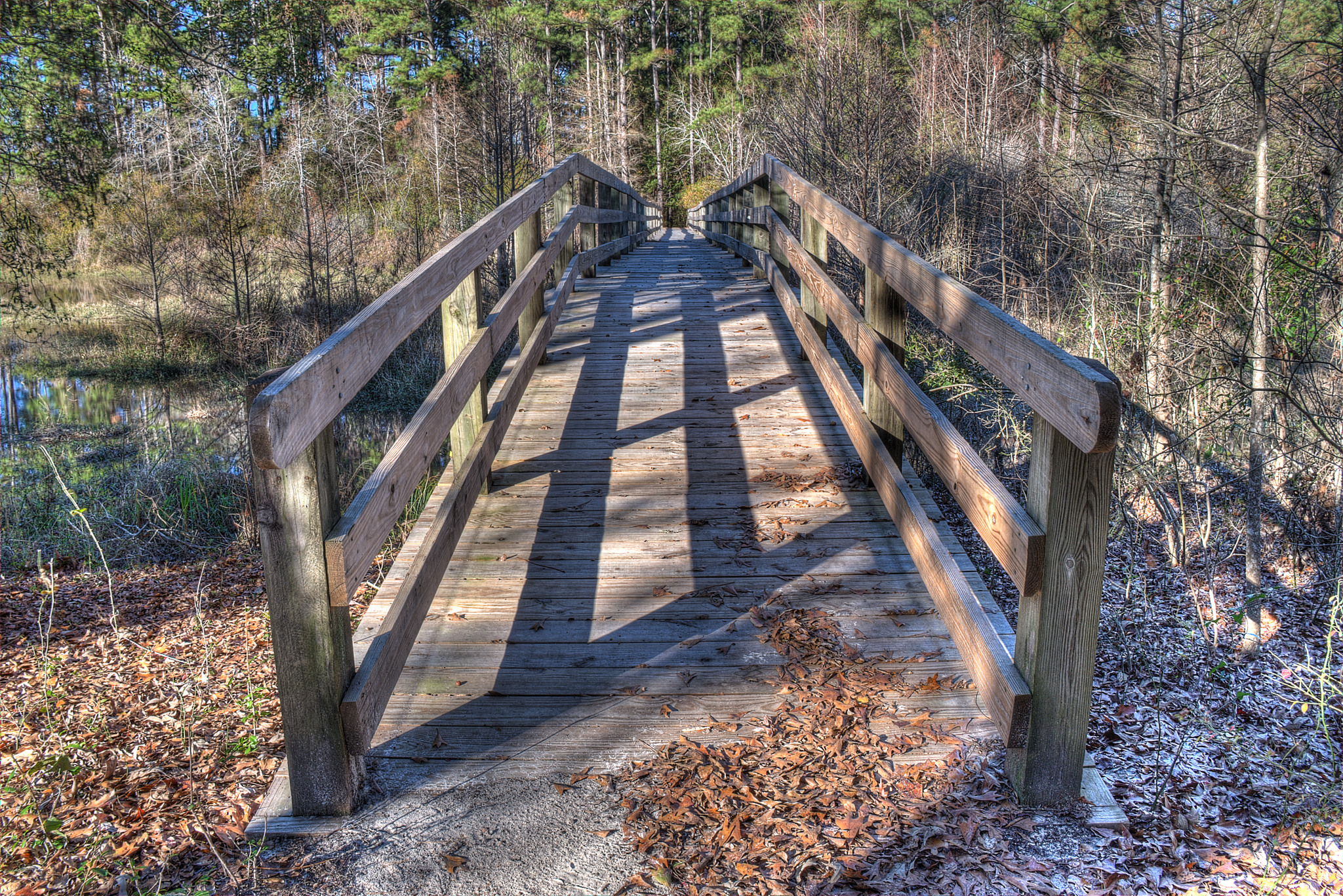 George T Bagby State Park