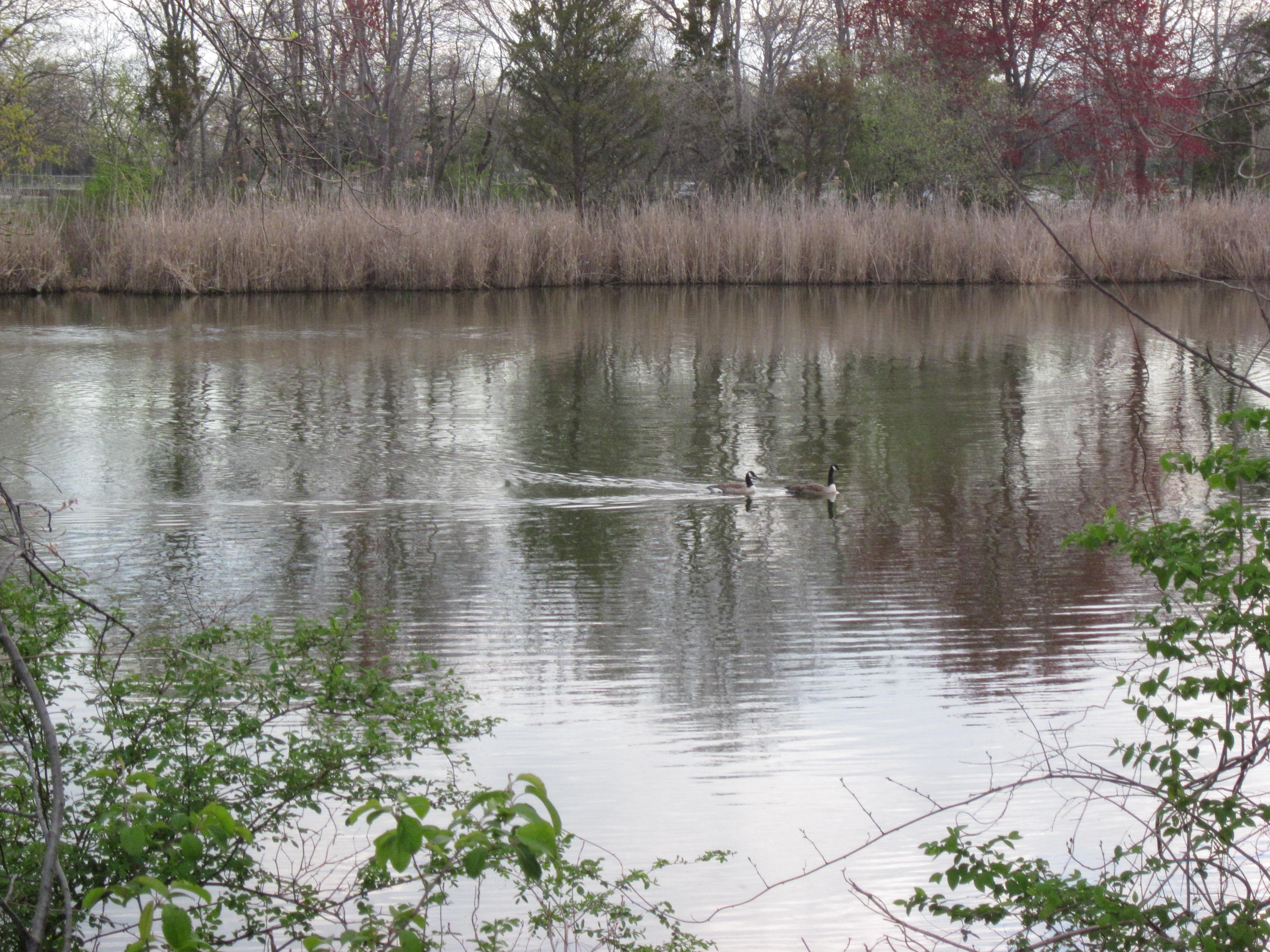Sunken Meadow State Park