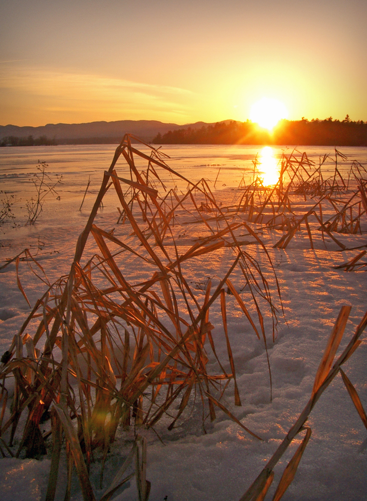 Button Bay State Park